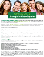 41207_imagen3