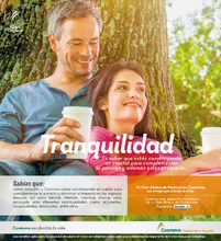 p_SYS_Consolida_FEB2016