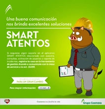 p_MUL_SMART2_FEB2016