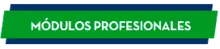 Profesionales