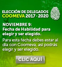 img_Eleccion28_OCT2016