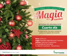 NovenaDia4