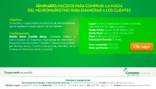 REG-PALMIRA_02