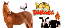 img_PANACA