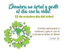 p_SALUD_ARBOL_OCT2017