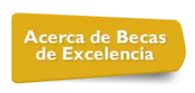Botón acerca de Becas de Excelencia 