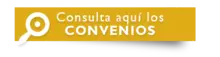 Convenios idiomas