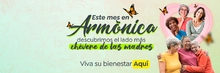 B_VEP_ARMONICA_MAY22