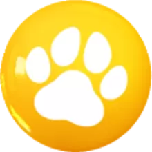 Asistencia medica para mascotas (Perros y gatos)