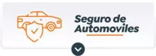 Seguro de automóviles aprovechar