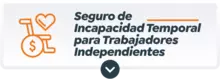 Seguro de incapacidad temporal para trabajadores independientes Adquirir
