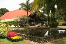 Salón Samán