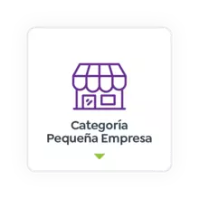 Pequeña empresa