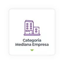 mediana empresa