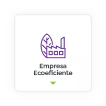 Ecoeficiente