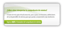 p_simulador