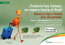 p_hormigas_Cali